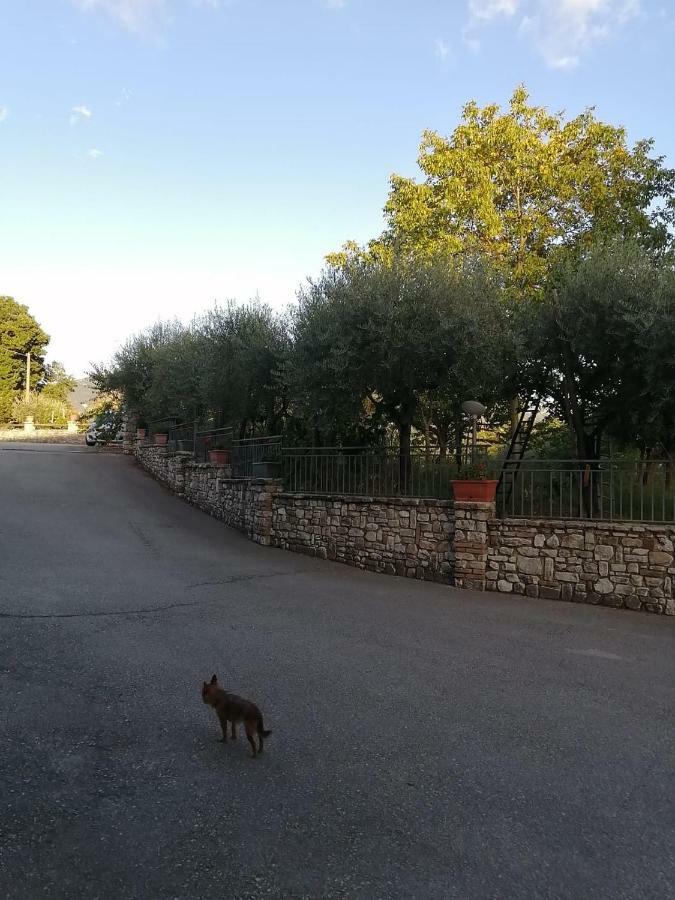 B&B Da Felice Серино Екстер'єр фото